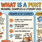 What Is a Pun? Meaning, Examples & Literary Uses