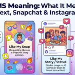 LMS Meaning: What It Means in Text, Snapchat & Instagram