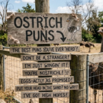 Ostrich Puns