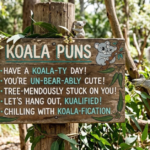 Koala Puns Meaning: Cute Jokes Explained